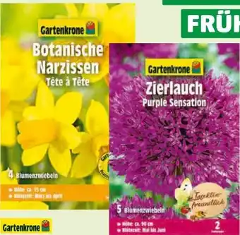 Hagebau Gartenkrone Zierlauch Angebot
