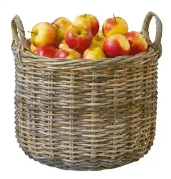 Hagebau Rattankorb Angebot