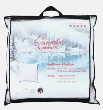 AWG Mode Canada Kopfkissen Angebot