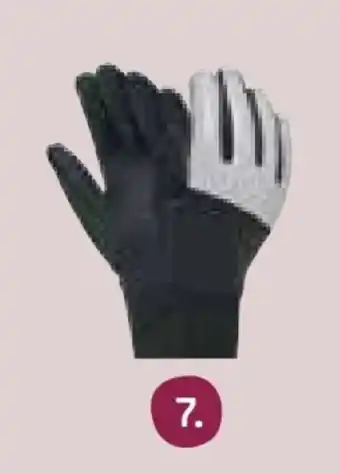 Rossmann Rossmann Ideen Welt Damen Softshell-Handschuhe Angebot