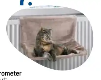 Rossmann Rossmann Ideen Welt Katzen Heizkörperliege Angebot
