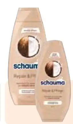 Rossmann Schwarzkopf Schauma Shampoo Angebot