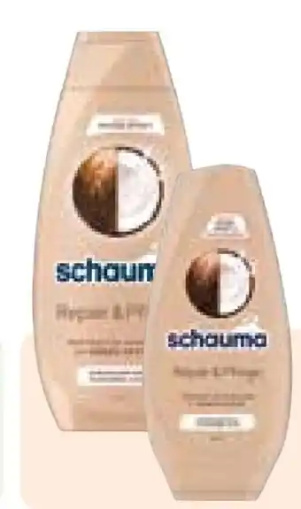 Rossmann Schwarzkopf Schauma Shampoo Angebot