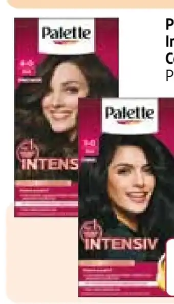 Rossmann Poly Palette Intensiv Creme Coloration Angebot