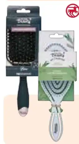 Rossmann For your Beauty Haarbürste Angebot