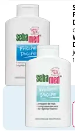Rossmann Sebamed Frische Dusche Angebot