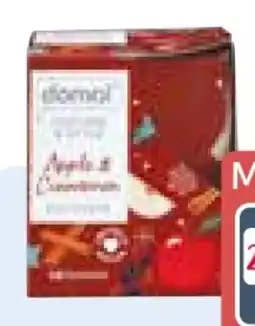 Rossmann Domol Perfume & Style Duftkerze Angebot