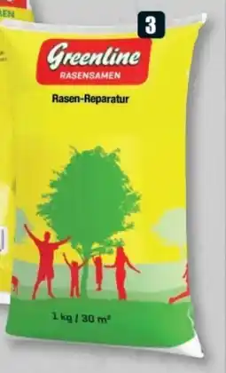 B1 Discount Baumarkt Greenline Rasensamen Rasenreparatur-Set Angebot