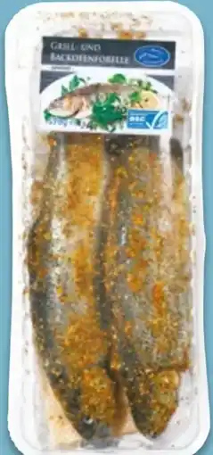 NETTO Euro Fine Fisch Grill- und Backofenforelle Angebot