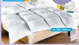 NETTO Hjemja Kassettendecke Luxury Angebot