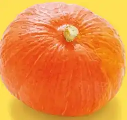 NETTO Speisekürbis Hokkaido Angebot