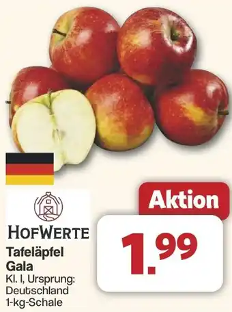 Famila Nord West HOFWERTE Tafeläpfel Gala Angebot