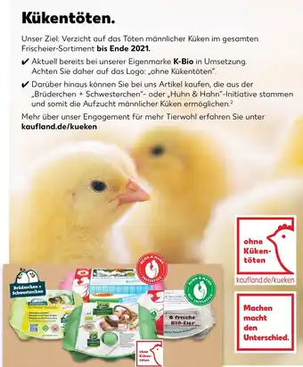 Kaufland Kükentöten Angebot