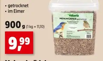 Thomas Philipps Volaris mehlwürmer getrocknet Angebot