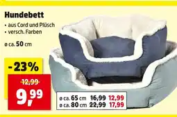 Thomas Philipps Hundebett Angebot