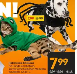 Rusta Halloween-kostüme Angebot