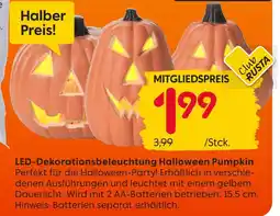 Rusta Led-dekorationsbeleuchtung halloween pumpkin Angebot