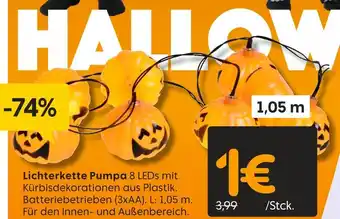 Rusta Lichterkette pumpa Angebot