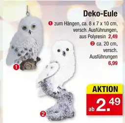 Zimmermann Deko-eule zum hängen Angebot