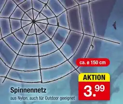 Zimmermann Spinnennetz Angebot