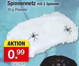 Zimmermann Spinnennetz mit 2 spinnen Angebot