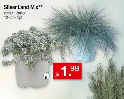 Zimmermann Silver land mix Angebot