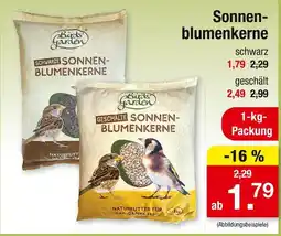 Zimmermann Birds garden schwarze sonnenblumenkerne Angebot