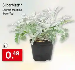 Zimmermann Silberblatt Angebot