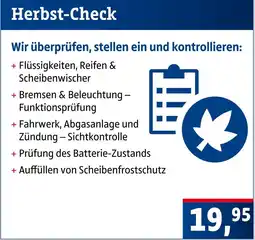 AUTO plus Herbst-check Angebot