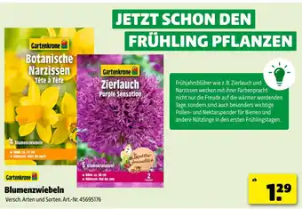 Hagebau Gartenkrone botanische narzissen tête à tête Angebot