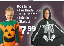 Rossmann Kürbis Angebot