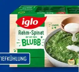 Aldi Süd Iglo Rahmspinat Angebot