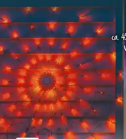 NETTO LED-Spinnennetz Angebot