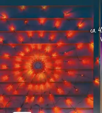 NETTO LED-Spinnennetz Angebot
