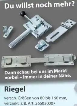 Sonderpreis Baumarkt Riegel Angebot