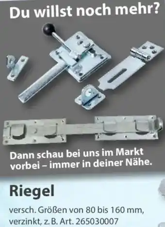 Sonderpreis Baumarkt Riegel Angebot