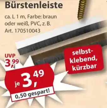 Sonderpreis Baumarkt Bürstenleiste Angebot