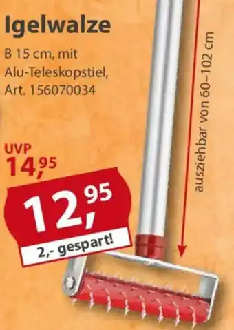 Sonderpreis Baumarkt Igelwalze Angebot