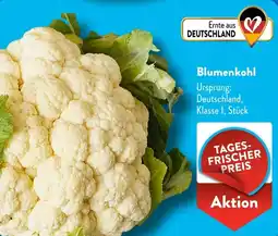 Aldi Süd Blumenkohl Angebot