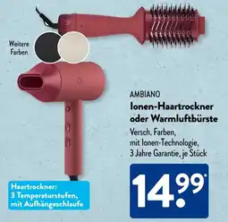Aldi Süd AMBIANO lonen-Haartrockner oder Warmluftbürste Angebot