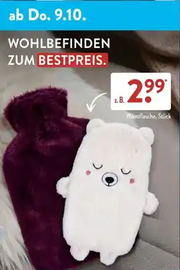 Aldi Süd Wärmflasche, Stück Angebot