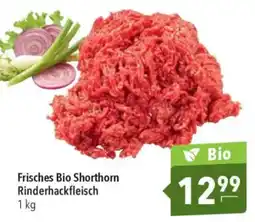 CITTI Markt Frisches Bio Shorthorn Rinderhackfleisch Angebot