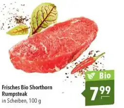 CITTI Markt Frisches Bio Shorthorn Rumpsteak Angebot