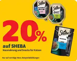 Das Futterhaus auf SHEBA Nassnahrung und Snacks für Katzen Angebot