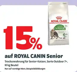 Das Futterhaus auf ROYAL CANIN Senior Angebot