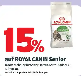 Das Futterhaus auf ROYAL CANIN Senior Angebot