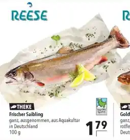 CITTI Markt REESE Frischer Saibling Angebot