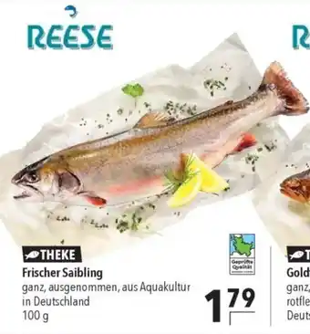 CITTI Markt REESE Frischer Saibling Angebot
