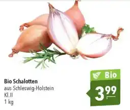 CITTI Markt Bio Schalotten Angebot
