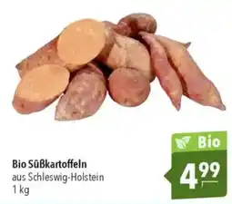 CITTI Markt Bio Süßkartoffeln Angebot